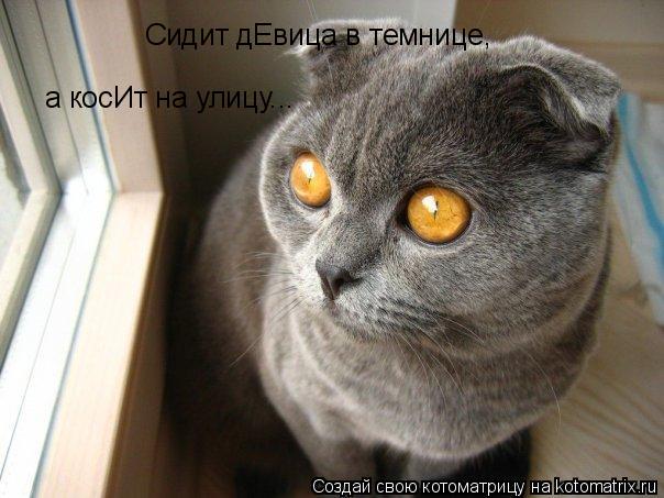 Котоматрица: Сидит дЕвица в темнице, а косИт на улицу...