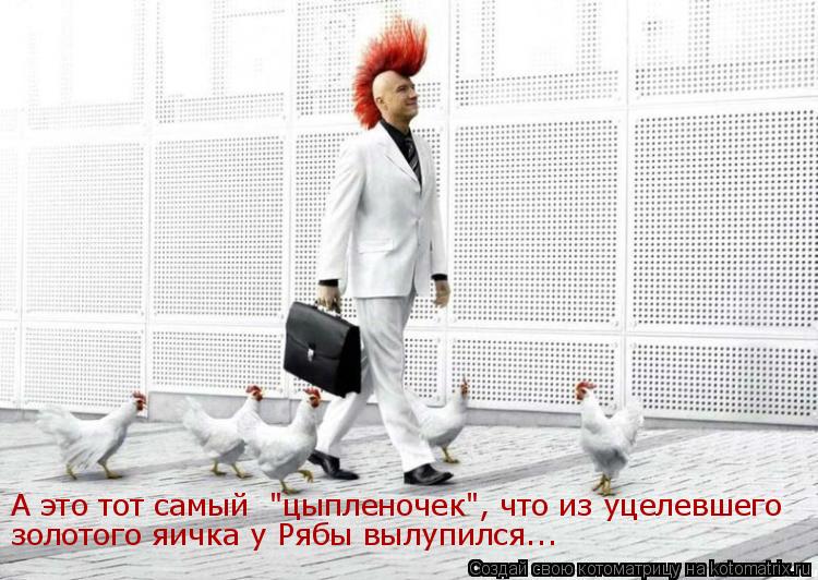 А это тот самый "цыпленочек", что из уцелевшего золотого яичка у Рябы вылупился...... Котоматрица: А это тот самый "цыпленочек", что из уцелевшего золотого яичка у Рябы вылупился...
