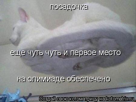Котоматрица: посадочка еще чуть чуть и первое место  на олимиаде обеспечено