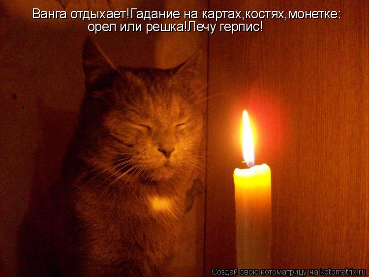 Ванга отдыхает!Гадание на картах,костях,монетке: орел или решка!Лечу герпис!... Котоматрица: Ванга отдыхает!Гадание на картах,костях,монетке: орел или решка!Лечу герпис!