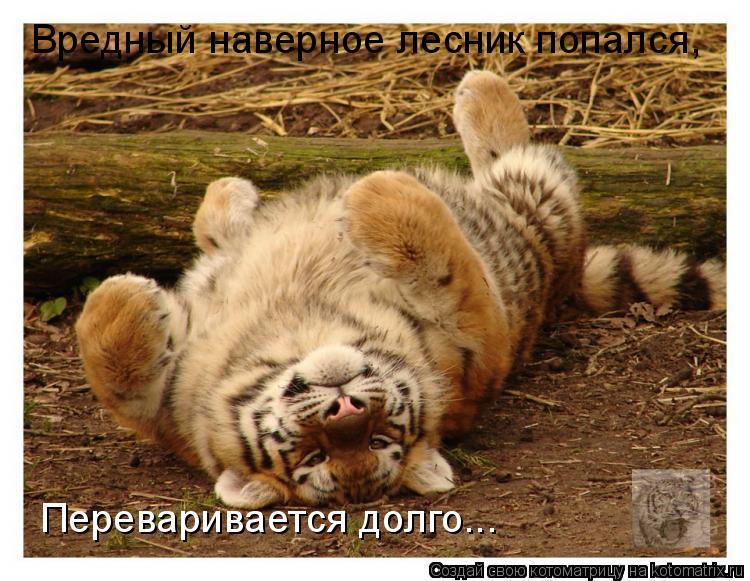 Котоматрица: Вредный наверное лесник попался, Переваривается долго...