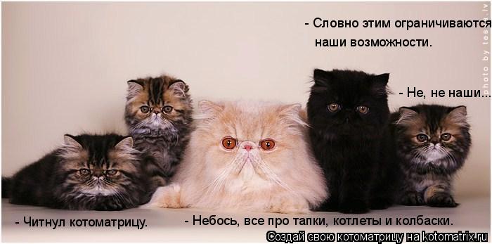 Котоматрица: - Словно этим ограничиваются  наши возможности. - Небось, все про тапки, котлеты и колбаски. - Читнул котоматрицу. - Не, не наши...