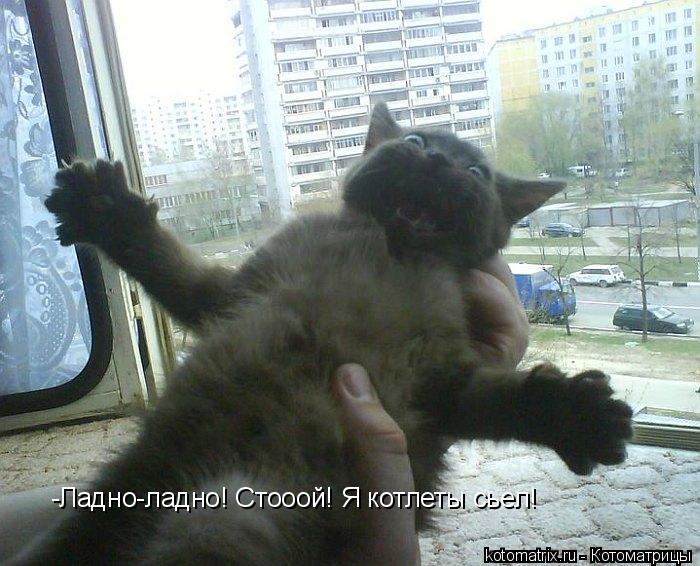 -Ладно-ладно! Стооой! Я котлеты сьел!... Котоматрица: -Ладно-ладно! Стооой! Я котлеты сьел!