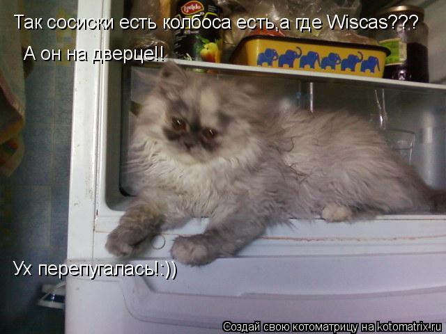 Котоматрица: Так сосиски есть колбоса есть,а где Wiscas??? А он на дверце!! Ух перепугалась!:))