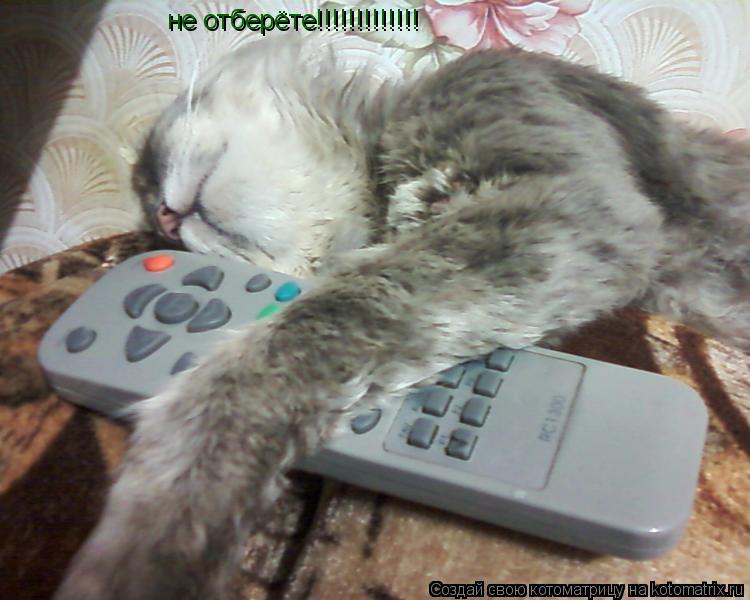 не отберёте!!!!!!!!!!!!!... Котоматрица: не отберёте!!!!!!!!!!!!!