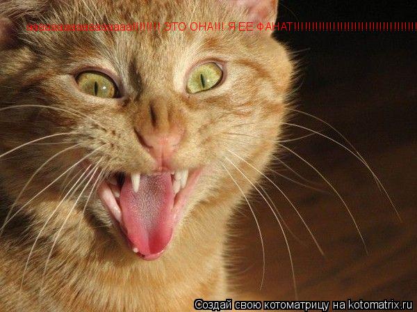 ааааааааааааааааа!!!!!!!! ЭТО ОНА!!! Я ЕЕ ФАНАТ!!!!!!!!!!!!!!!!!!!!!!!!!!!!!!!!!!!... Котоматрица: ааааааааааааааааа!!!!!!!! ЭТО ОНА!!! Я ЕЕ ФАНАТ!!!!!!!!!!!!!!!!!!!!!!!!!!!!!!!!!!!