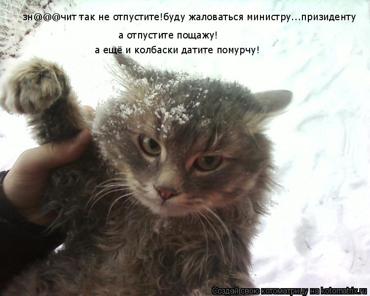 зн@@@чит так не отпустите!буду жаловаться министру...призиденту а отпустите пощажу! а ещё и колбаск... Котоматрица: зн@@@чит так не отпустите!буду жаловаться министру...призиденту а отпустите пощажу! а ещё и колбаски датите помурчу!