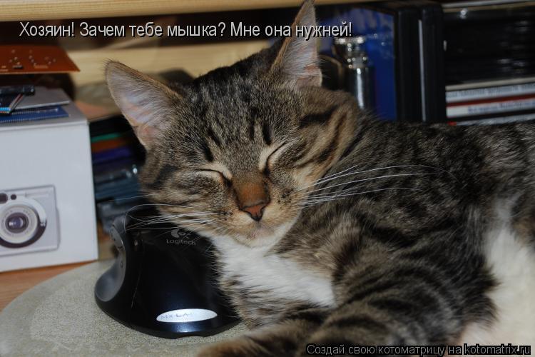 Котоматрица: Хозяин! Зачем тебе мышка? Мне она нужней!
