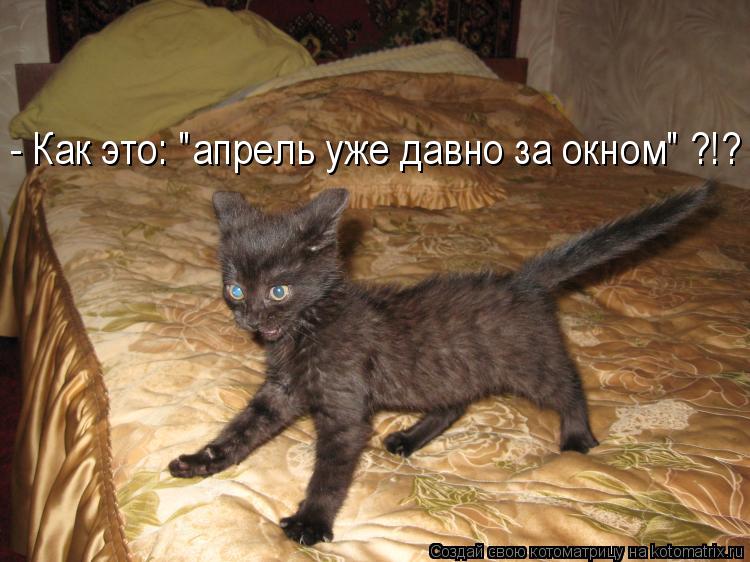 - Как это: "апрель уже давно за окном" ?!?... Котоматрица: - Как это: "апрель уже давно за окном" ?!?