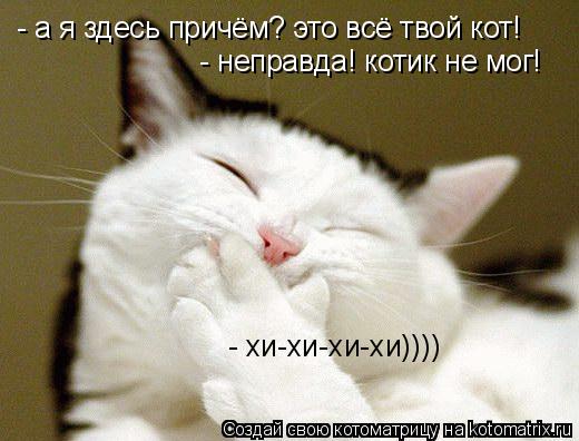 - а я здесь причём? это всё твой кот! - неправда! котик не мог! - хи-хи-хи-хи))))... Котоматрица: - а я здесь причём? это всё твой кот! - неправда! котик не мог! - хи-хи-хи-хи))))
