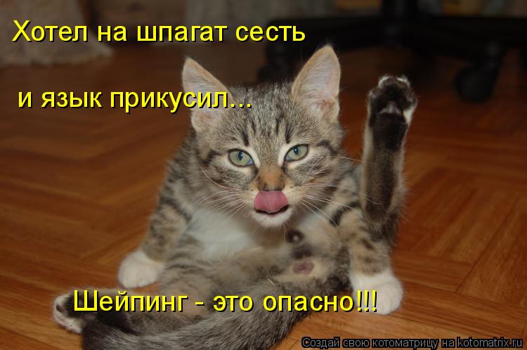 Хотел на шпагат сесть и язык прикусил... Шейпинг - это опасно!!!... Котоматрица: Хотел на шпагат сесть и язык прикусил... Шейпинг - это опасно!!!