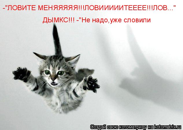 Котоматрица: -"ЛОВИТЕ МЕНЯЯЯЯЯ!!!ЛОВИИИИИТЕЕЕЕ!!!ЛОВ..."     ДЫМКС!!! -"Не надо,уже словили      ДЫМКС!!! -"Не надо,уже словили