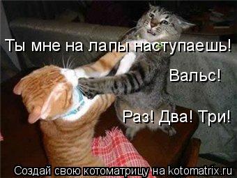 Котоматрица: Ты мне на лапы наступаешь! Вальс!  Раз! Два! Три!