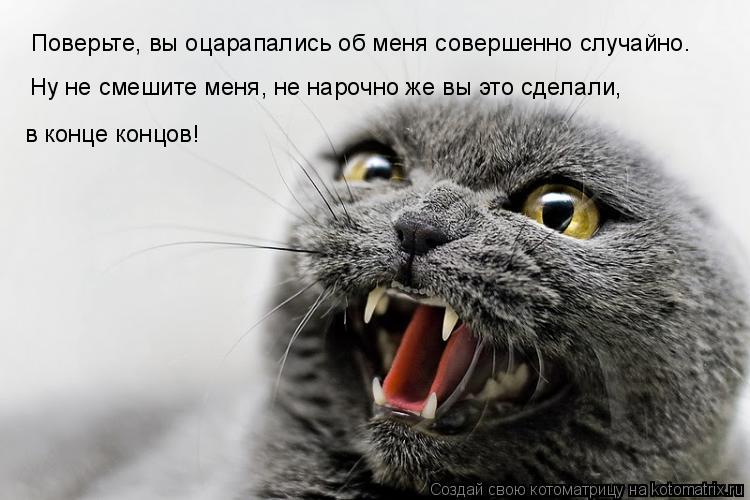 Поверьте, вы оцарапались об меня совершенно случайно. Ну не смешите меня, не нарочно же вы это сделал... Котоматрица: Поверьте, вы оцарапались об меня совершенно случайно. Ну не смешите меня, не нарочно же вы это сделали, в конце концов!