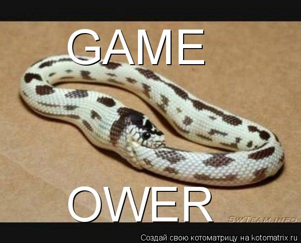 GAME OWER... Котоматрица: GAME OWER