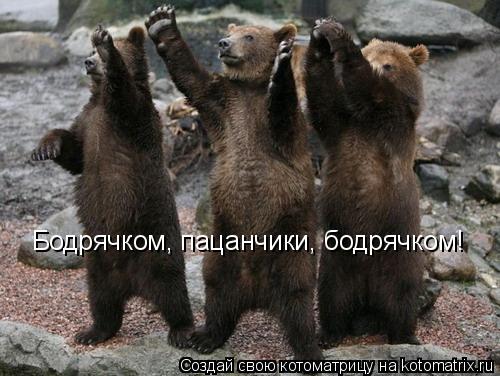 Котоматрица: Бодрячком, пацанчики, бодрячком!