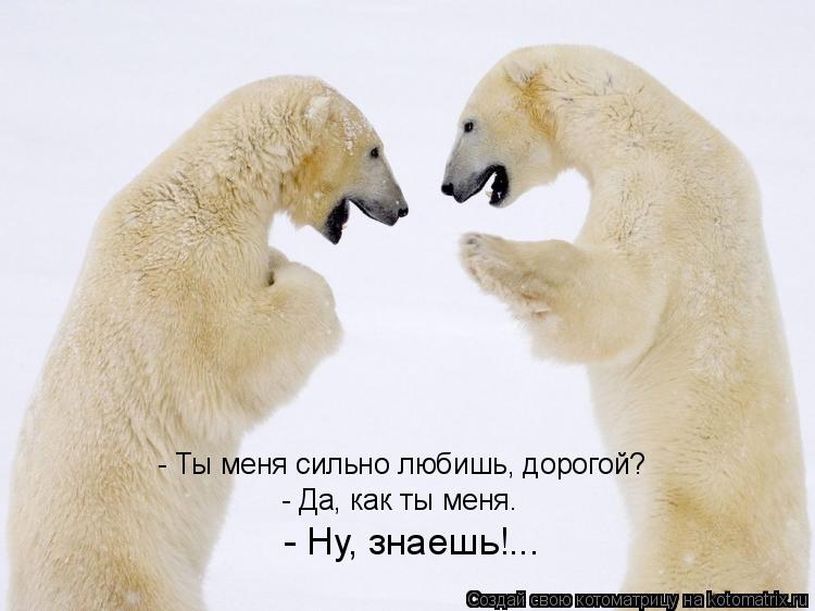 - Ты меня сильно любишь, дорогой? - Да, как ты меня. - Ну, знаешь!...... Котоматрица: - Ты меня сильно любишь, дорогой? - Да, как ты меня. - Ну, знаешь!...