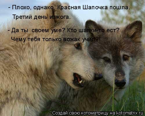 - Плохо, однако, Красная Шапочка пошла. Третий день изжога. - Да ты своем уме? Кто шапки-то ест? Чем... Котоматрица: - Плохо, однако, Красная Шапочка пошла. Третий день изжога. - Да ты своем уме? Кто шапки-то ест? Чему тебя только вожак учил?!
