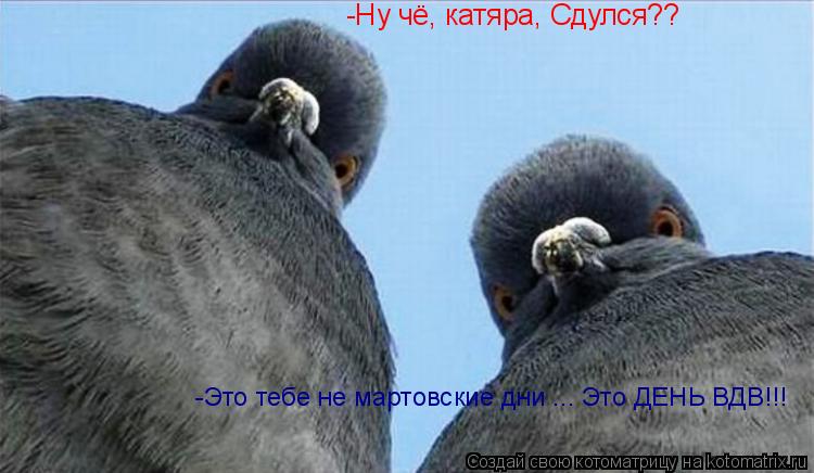 -Ну чё, катяра, Сдулся?? -Это тебе не мартовские дни ... Это ДЕНЬ ВДВ!!!... Котоматрица: -Ну чё, катяра, Сдулся?? -Это тебе не мартовские дни ... Это ДЕНЬ ВДВ!!!