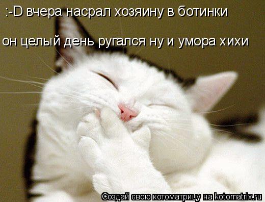 :-D вчера насрал хозяину в ботинки он целый день ругался ну и умора хихи... Котоматрица: :-D вчера насрал хозяину в ботинки он целый день ругался ну и умора хихи