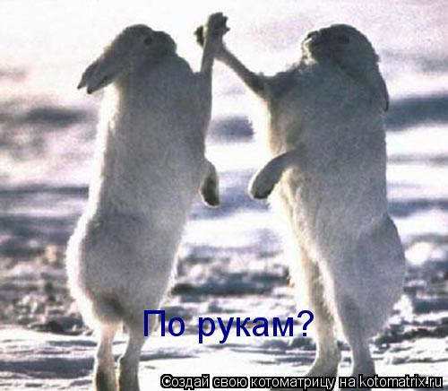 По рукам?... Котоматрица: По рукам?