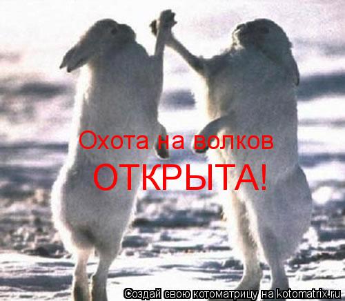 Охота на волков ОТКРЫТА!... Котоматрица: Охота на волков ОТКРЫТА!