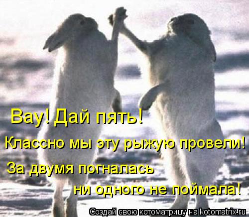 Вау! Дай пять! Классно мы эту рыжую провели! За двумя погналась ни одного не поймала!... Котоматрица: Вау! Дай пять! Классно мы эту рыжую провели! За двумя погналась ни одного не поймала!