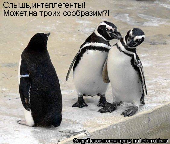 Слышь,интеллегенты! Может,на троих сообразим?!... Котоматрица: Слышь,интеллегенты! Может,на троих сообразим?!