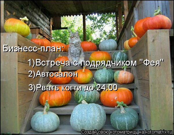 Котоматрица: 2)Автосалон 3)Рвать когти до 24.00 1)Встреча с подрядчиком "Фея" Бизнесс-план:
