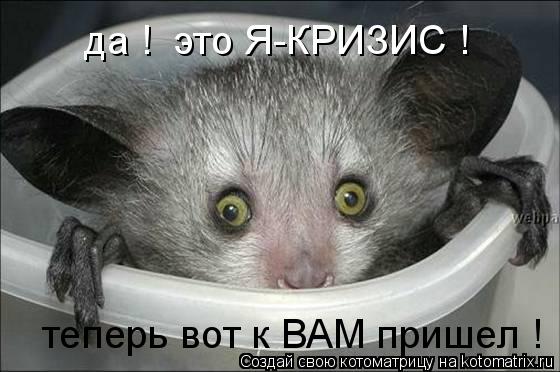 Котоматрица: да !  это Я-КРИЗИС ! теперь вот к ВАМ пришел !