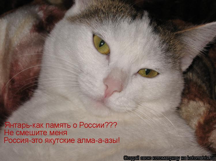 Котоматрица: Янтарь-как память о России???  Не смешите меня Россия-это якутские алма-а-азы!