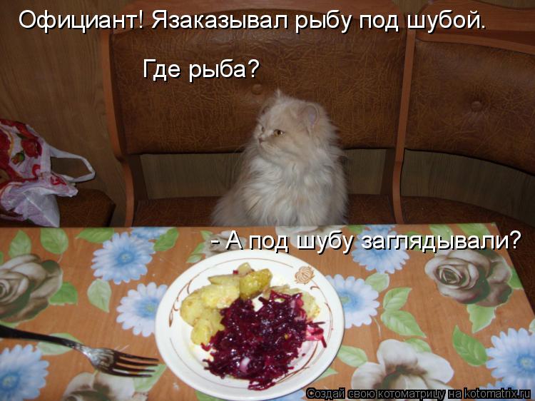 Официант! Язаказывал рыбу под шубой. Где рыба? - А под шубу заглядывали?... Котоматрица: Официант! Язаказывал рыбу под шубой. Где рыба? - А под шубу заглядывали?