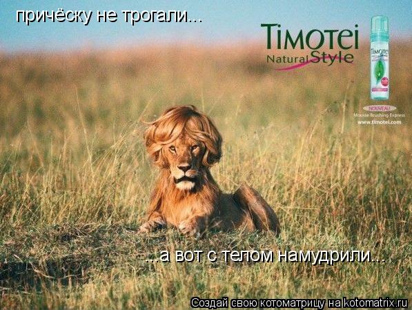 Котоматрица: причёску не трогали... ...а вот с телом намудрили...