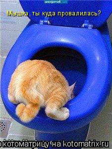 Мышка, ты куда провалилась?... Котоматрица: Мышка, ты куда провалилась?