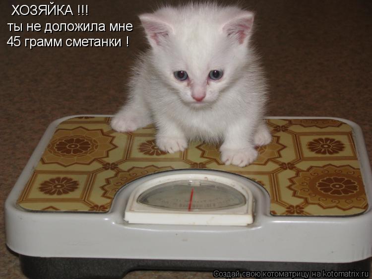 Котоматрица: ХОЗЯЙКА !!! ты не доложила мне 45 грамм сметанки !