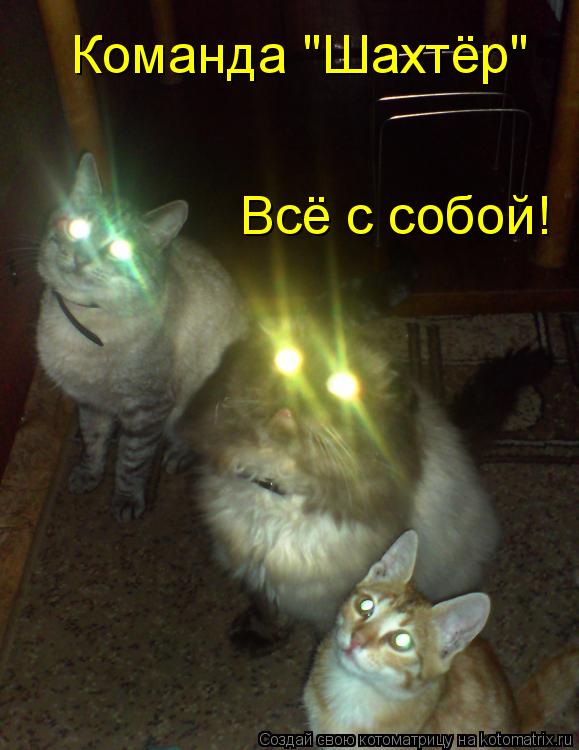 Команда "Шахтёр" Всё с собой!... Котоматрица: Команда "Шахтёр" Всё с собой!