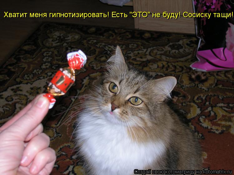 Хватит меня гипнотизировать! Есть "ЭТО" не буду! Сосиску тащи! Хватит меня гипнотизировать! Есть "ЭТО... Котоматрица: Хватит меня гипнотизировать! Есть "ЭТО" не буду! Сосиску тащи! Хватит меня гипнотизировать! Есть "ЭТО" не буду! Сосиску тащи!