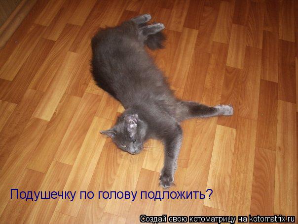 Котоматрица: Подушечку по голову подложить?