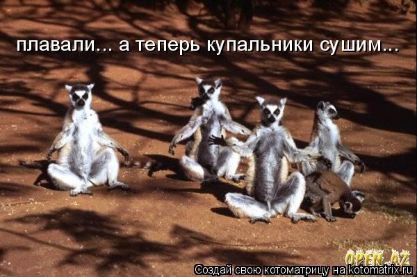 Котоматрица: плавали... а теперь купальники сушим...