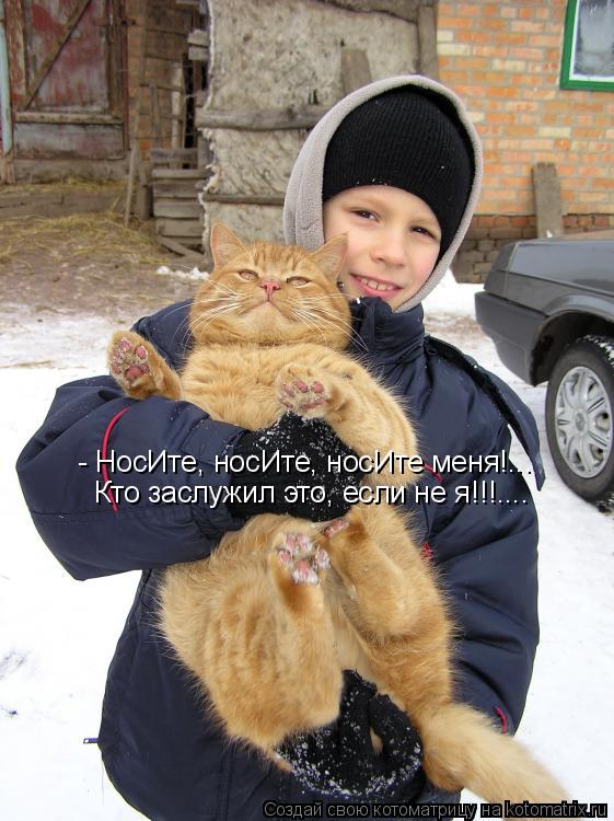 Котоматрица: - НосИте, носИте, носИте меня!... Кто заслужил это, если не я!!!....