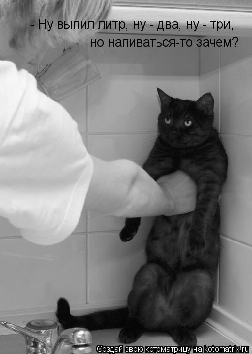 Котоматрица: - Ну выпил литр, ну - два, ну - три, но напиваться-то зачем?