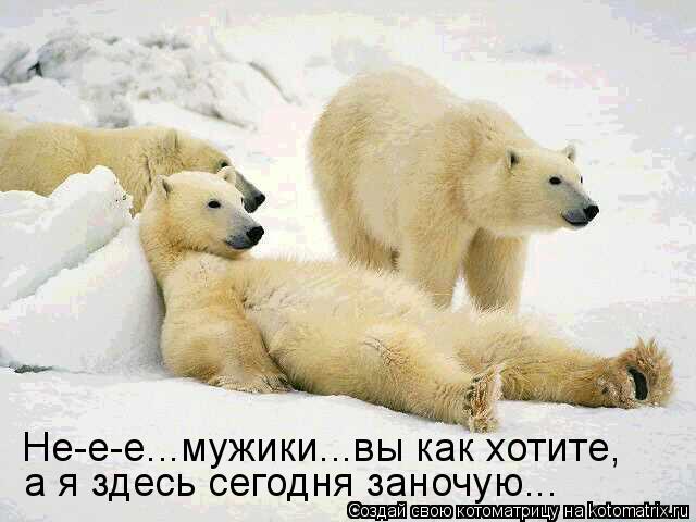 Котоматрица: Не-е-е...мужики...вы как хотите, а я здесь сегодня заночую...