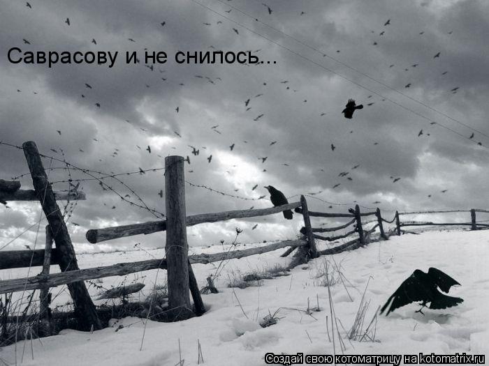 Саврасову и не снилось...... Котоматрица: Саврасову и не снилось...