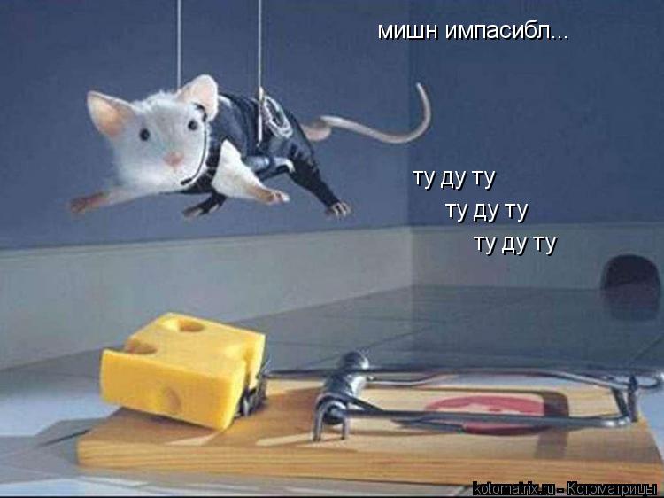 мишн импасибл... ту ду ту ту ду ту ту ду ту... Котоматрица: мишн импасибл... ту ду ту ту ду ту ту ду ту
