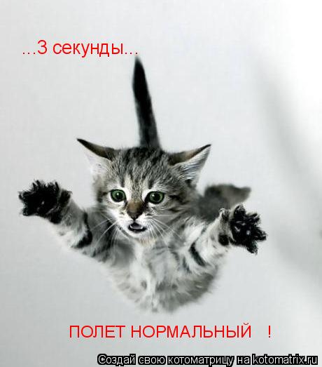 ...3 секунды... ПОЛЕТ НОРМАЛЬНЫЙ !... Котоматрица: ...3 секунды... ПОЛЕТ НОРМАЛЬНЫЙ !