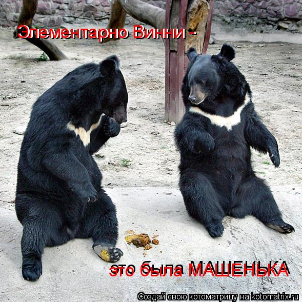 Элементарно Винни - Элементарно Винни - это была МАШЕНЬКА ! это была МАШЕНЬКА !... Котоматрица: Элементарно Винни - Элементарно Винни - это была МАШЕНЬКА ! это была МАШЕНЬКА !