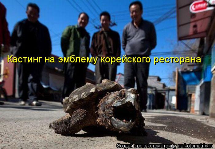Котоматрица: Кастинг на эмблему корейского ресторана