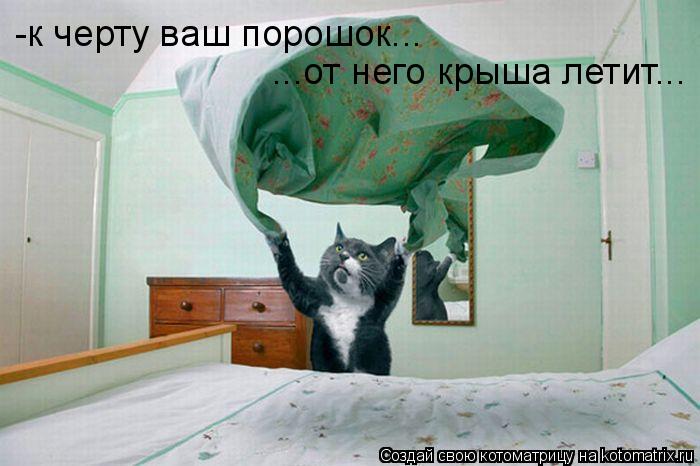 ...от него крыша летит... -к черту ваш порошок...... Котоматрица: ...от него крыша летит... -к черту ваш порошок...