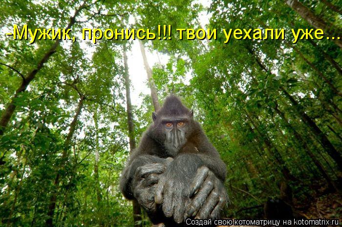 Котоматрица: -Мужик, пронись!!! твои уехали уже...