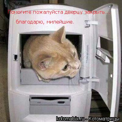 Помогите пожалуйста дверцу закрыть... благодарю, милейшие.... Котоматрица: Помогите пожалуйста дверцу закрыть... благодарю, милейшие.